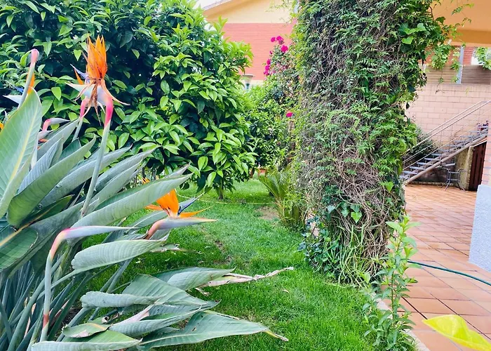 Apartamento Mar Y Montana