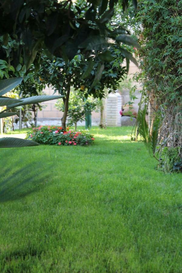 Mar Y Montana Apartament